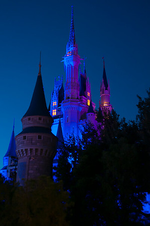 WDW2016_008