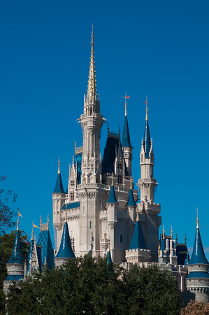 WDW2010_0014