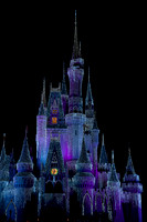WDW2010_0227