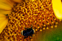 _DSC3276_08202022