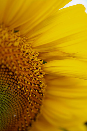 _DSC3282_08202022
