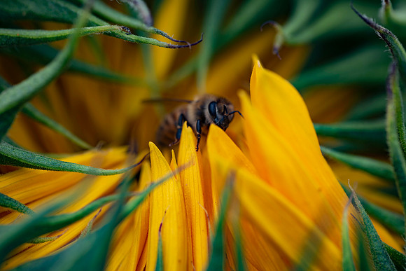 _DSC3344_08202022