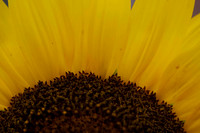 _DSC3273_08202022