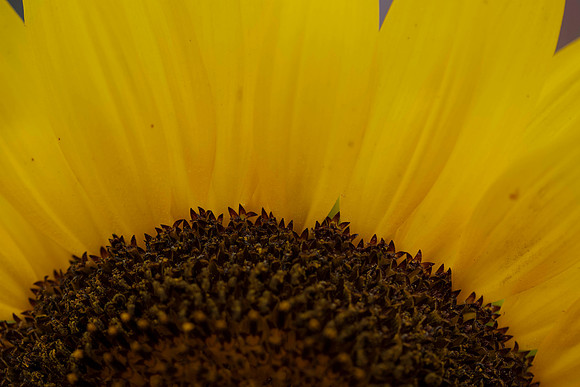 _DSC3273_08202022