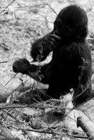 dsc_2183_11_24-21