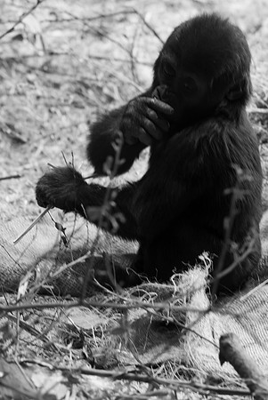 dsc_2183_11_24-21