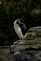 dsc_2162_11_24-21