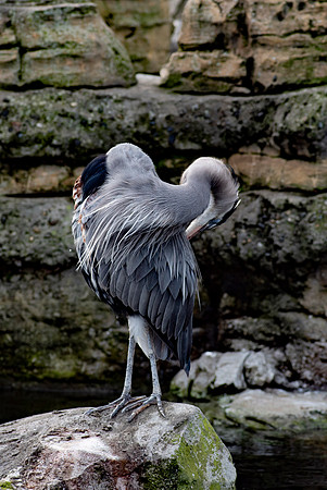 dsc_2163_11_24-21