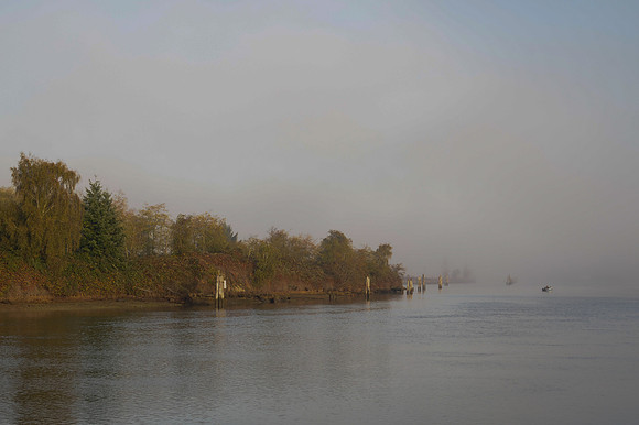 Fog_0011