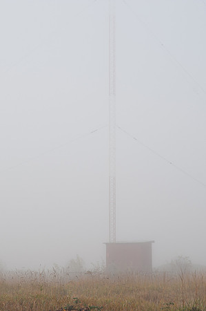 Fog_0029