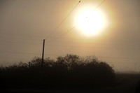 Fog_0005