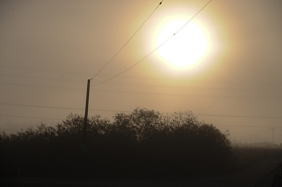 Fog_0005