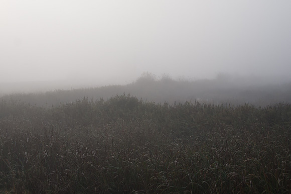 Fog_0014