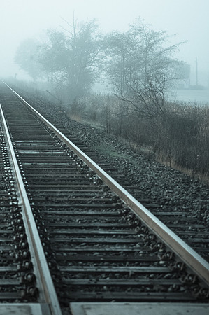 Fog_0003