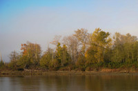 Fog_0010