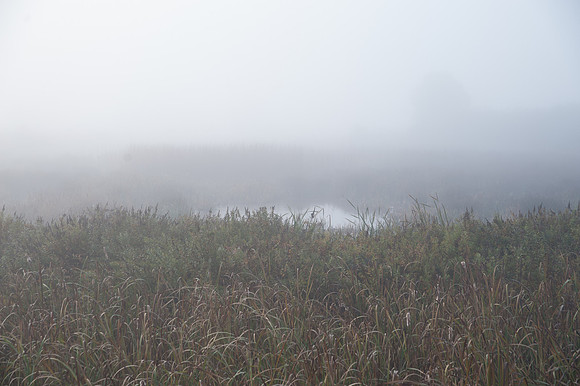 Fog_0018