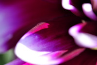 080909_0012