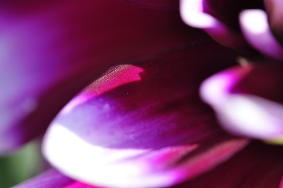 080909_0012