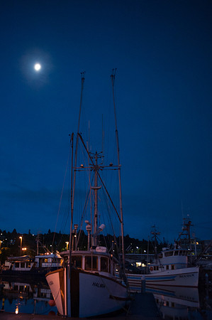 Fishermen Terminal_09