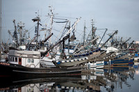 Fishermen Terminal_38