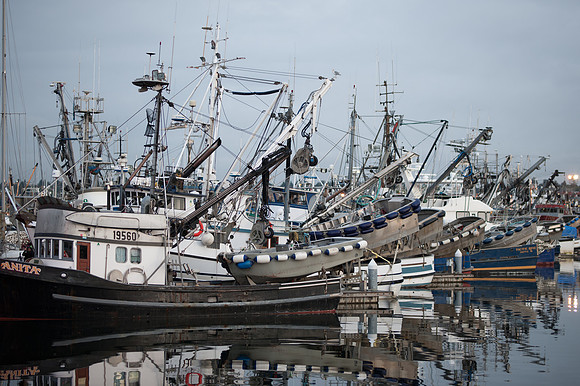Fishermen Terminal_38