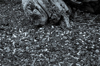 061617_0058
