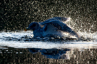 11-03-19_0919