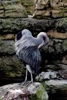 dsc_2163_11_24-21