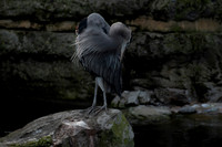 dsc_2164_11_24-21