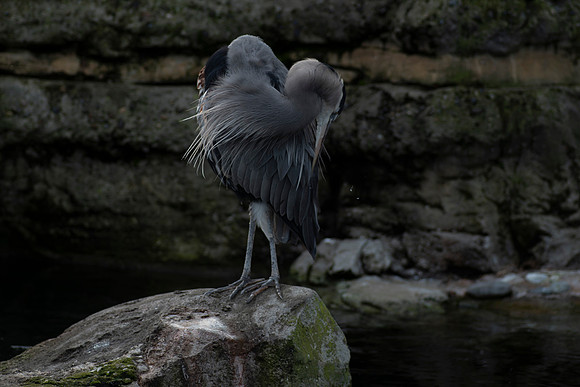 dsc_2164_11_24-21