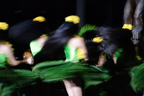 Oahu 2009_0209