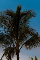 Oahu 2009_0166