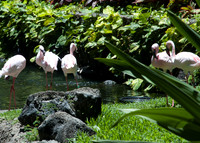 Oahu 2009_0100