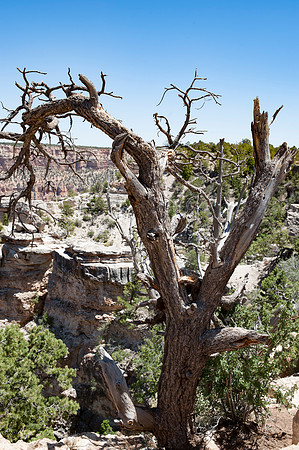 Sedona Trip_0137