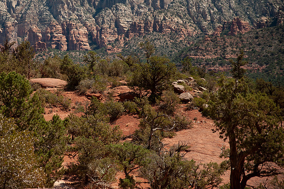 Sedona Trip_0028