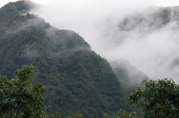 Hawaii 2014-045