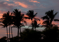 Maui043017_0032