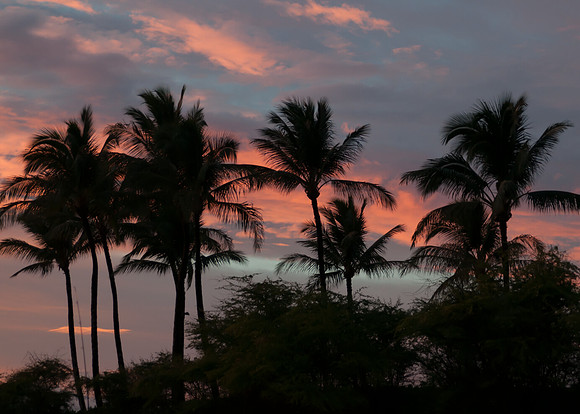 Maui043017_0032
