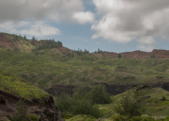 Maui050317_0067