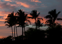Maui043017_0030