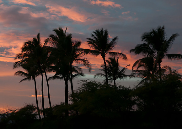 Maui043017_0030