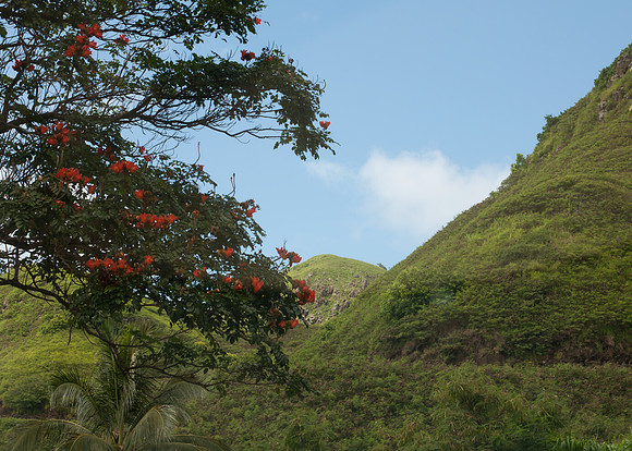 Maui050317_0072