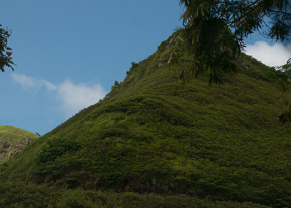 Maui050317_0071