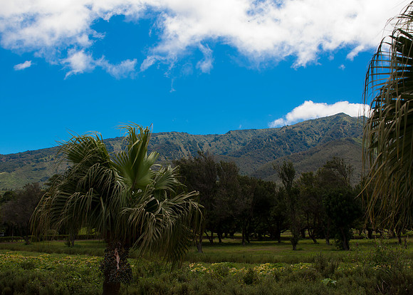 Maui050417_0120
