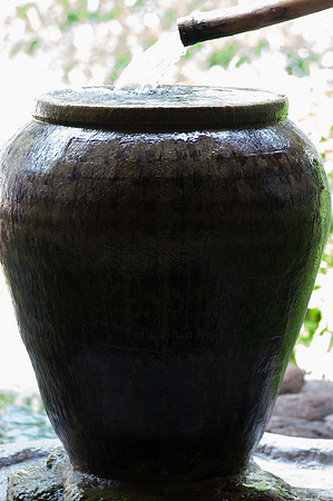 Hawaii 2014-010