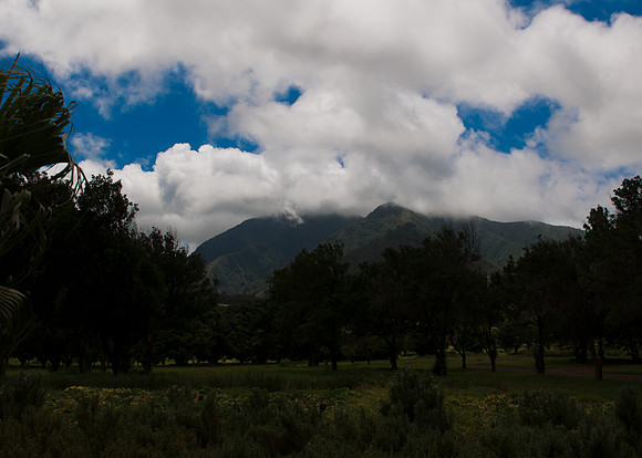 Maui050417_0118