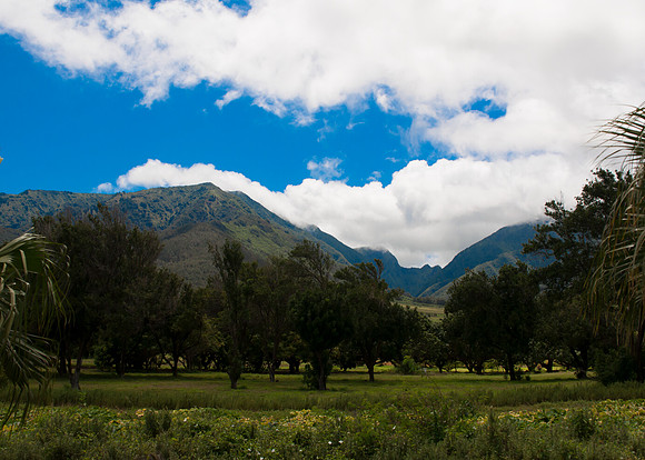 Maui050417_0122