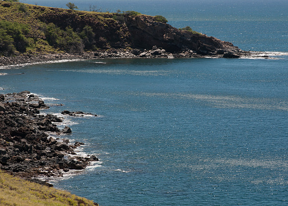 Maui050317_0058