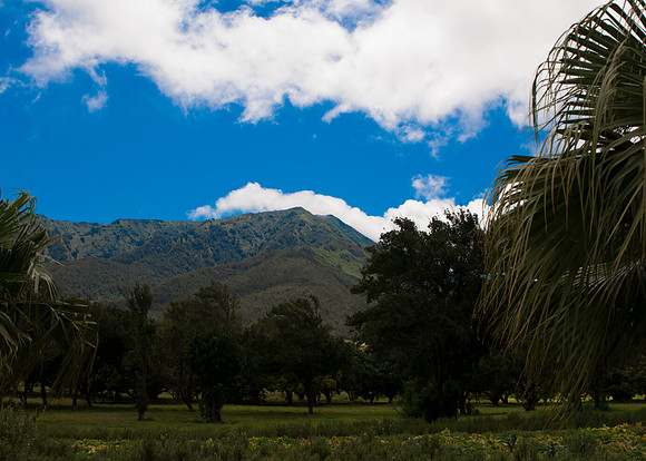 Maui050417_0119