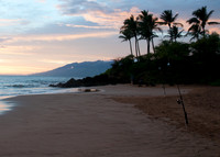 Maui043017_0022